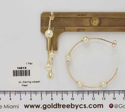 14513 Arete con perla