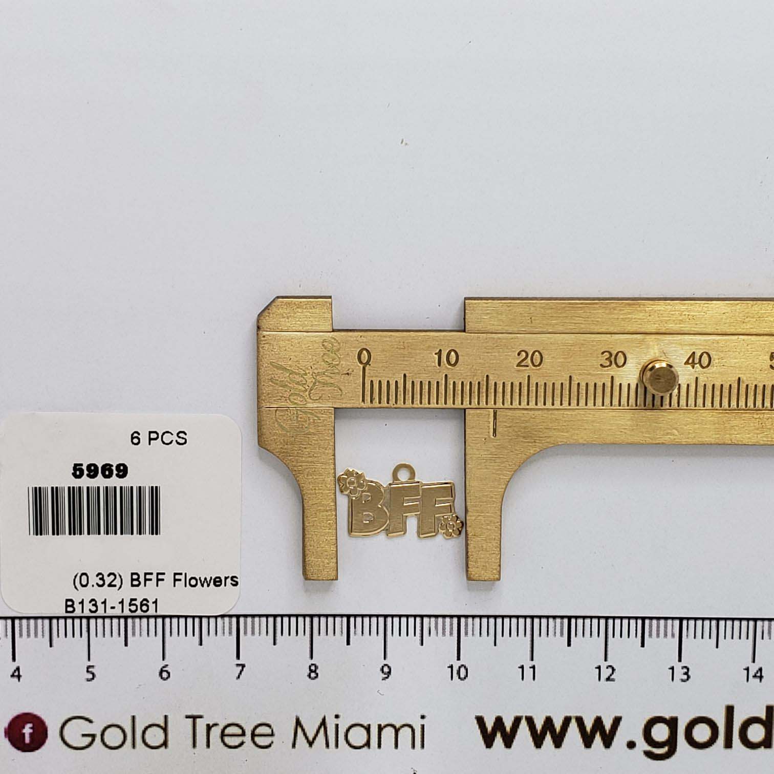 5969 BFF Flowers Charm