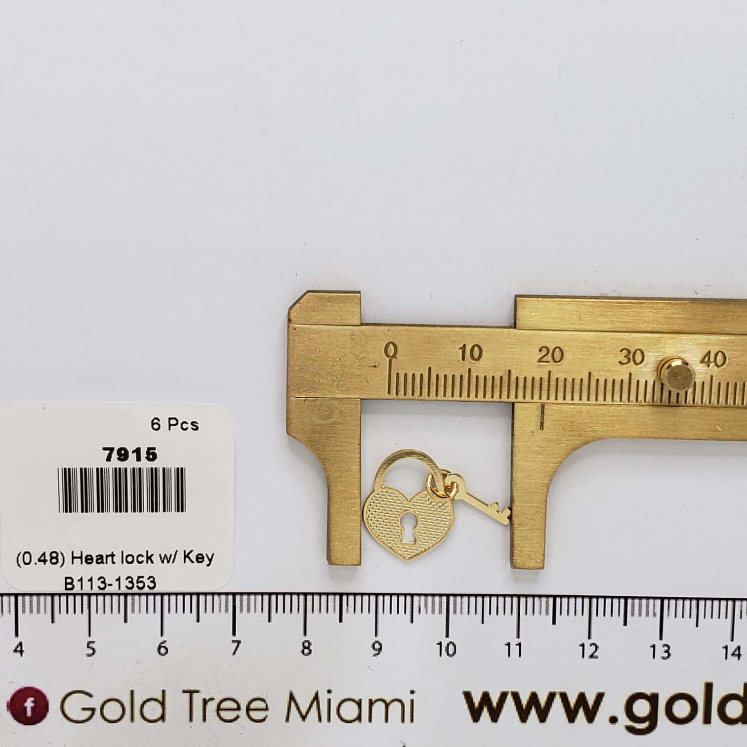 7915 Heart Lock with Key Pendant