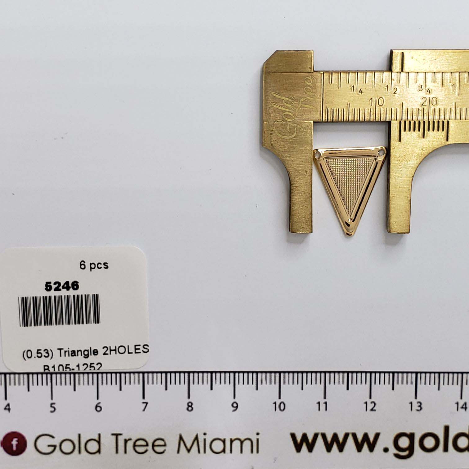 5246 Triangle with Two Holes Charm