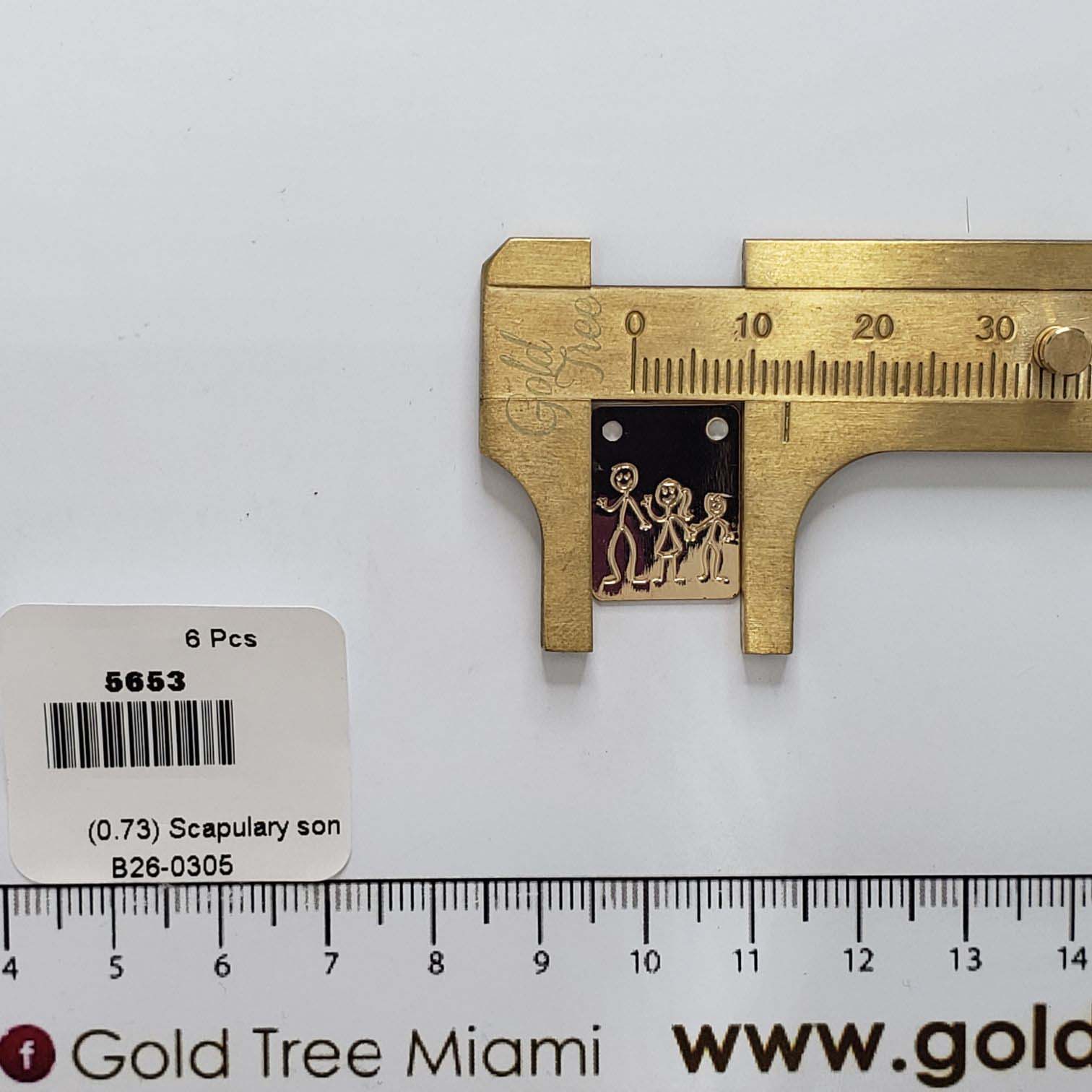 5653 Mini Scapulary Son