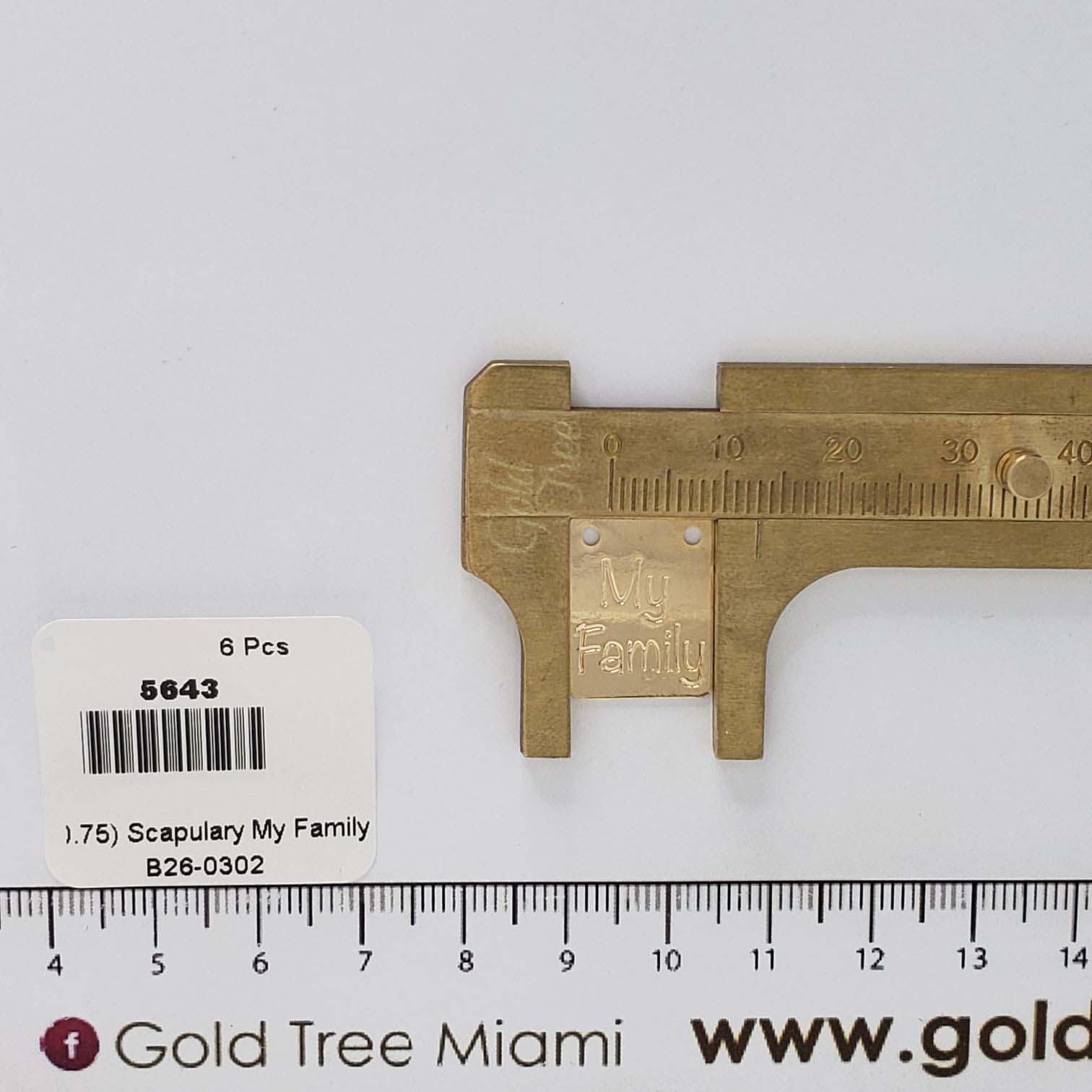 5643 Scapulary ´My Family´ Pendant