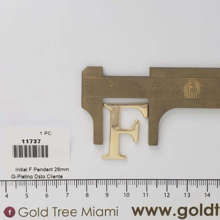 11737 Initial F Pendant