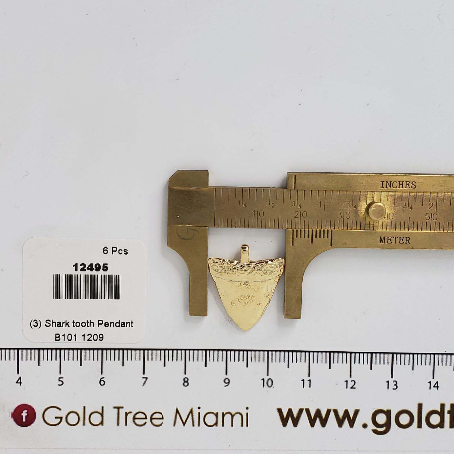 12495 Dije de Diente de Tiburón