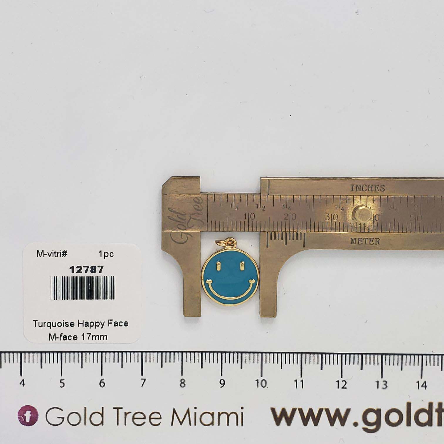 12787 Dije de Cara Feliz Turquesa