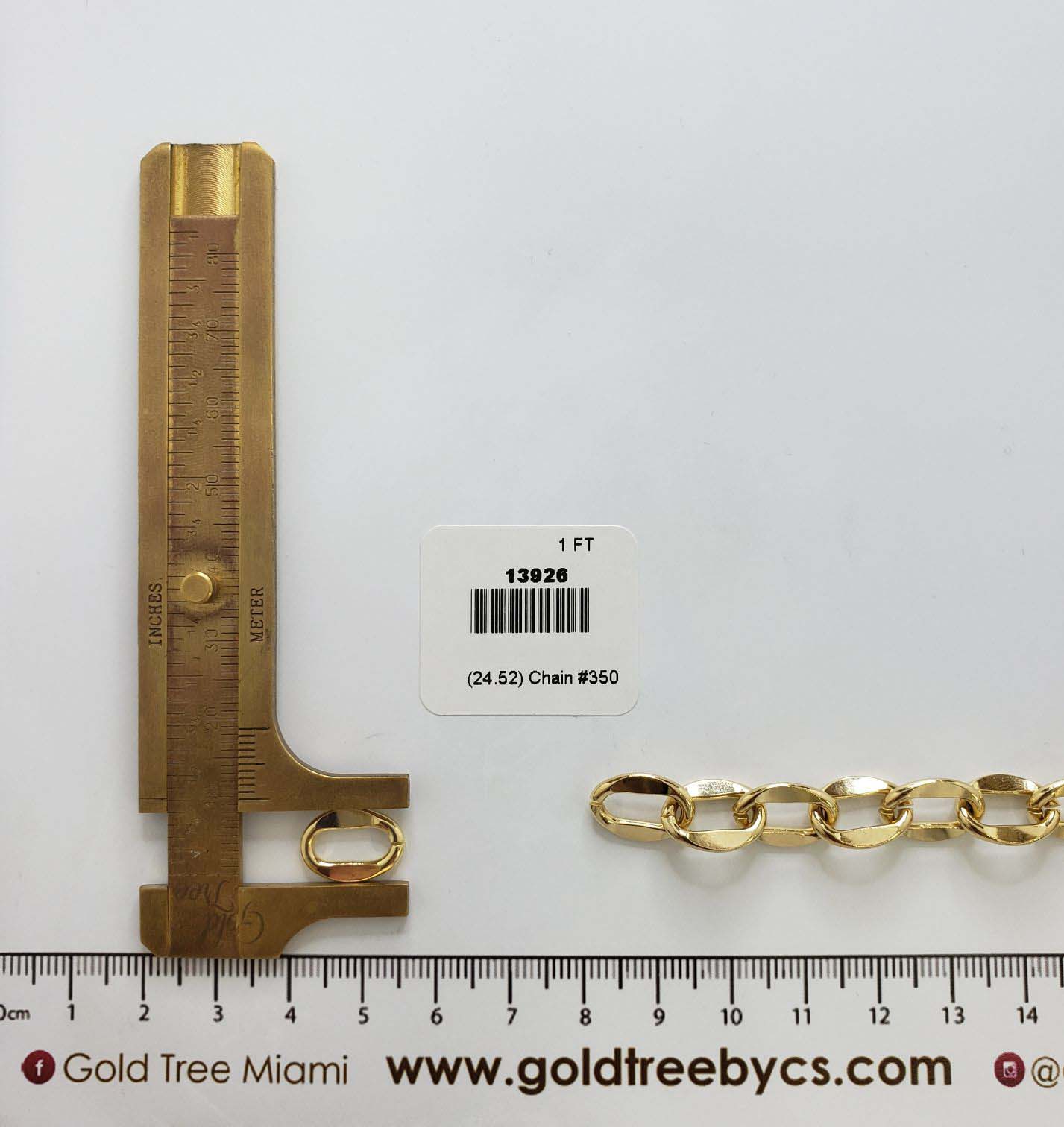 13926 Chain #350