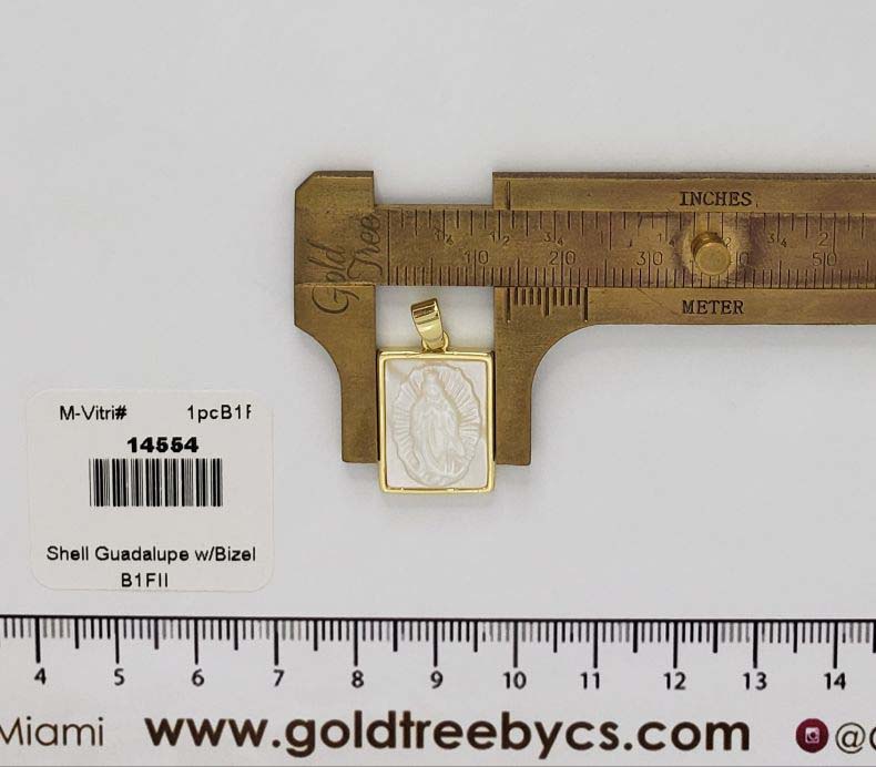 14554 Shell Guadalupe with Bizel Charm