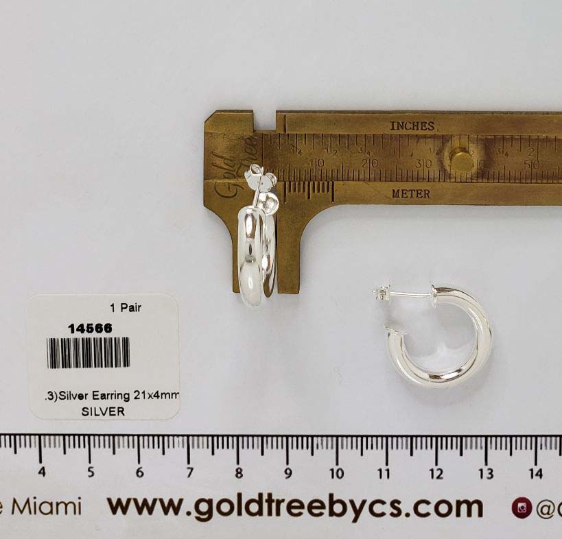 14566 21x4mm Earring Silver