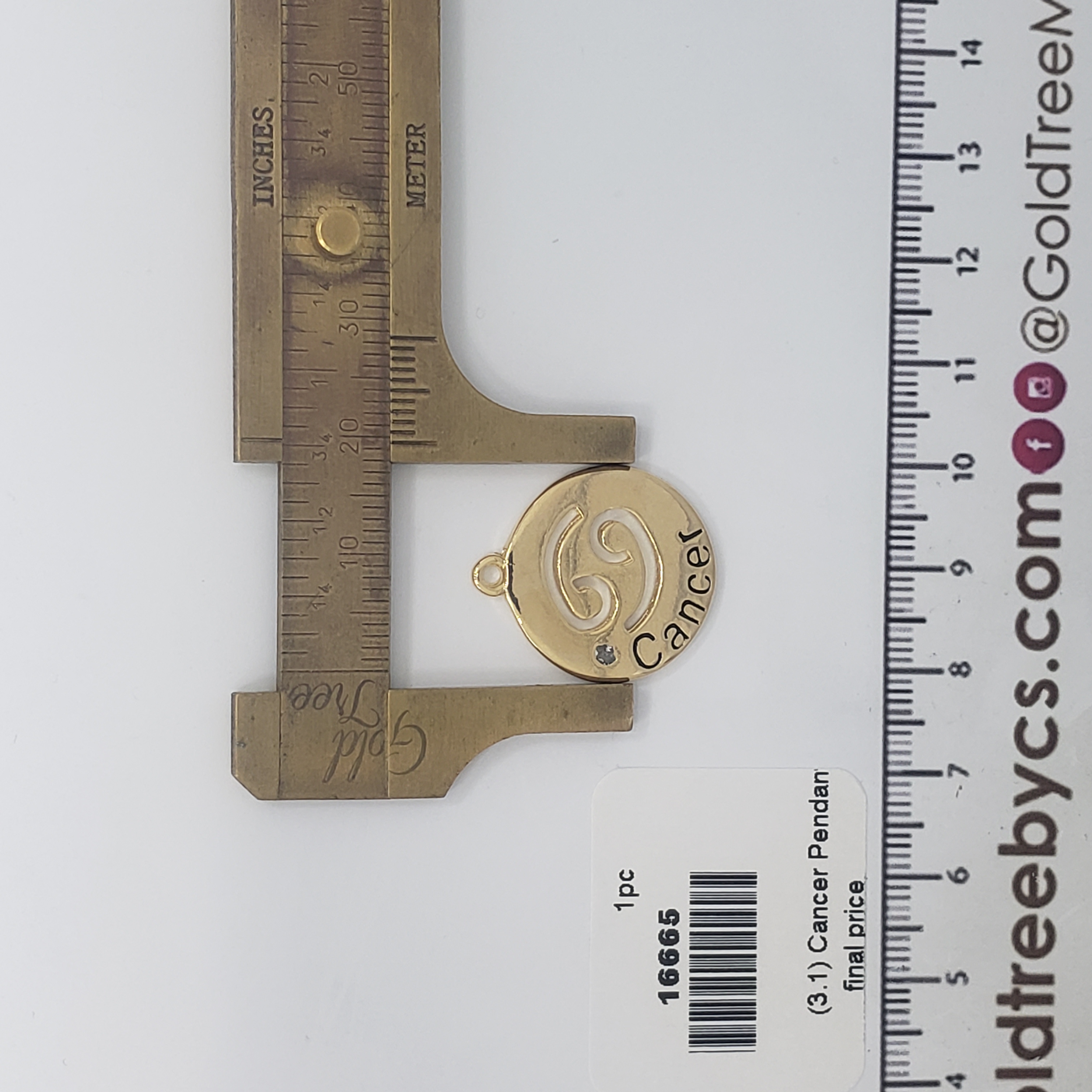 16665 Round Gold Cancer Pendant