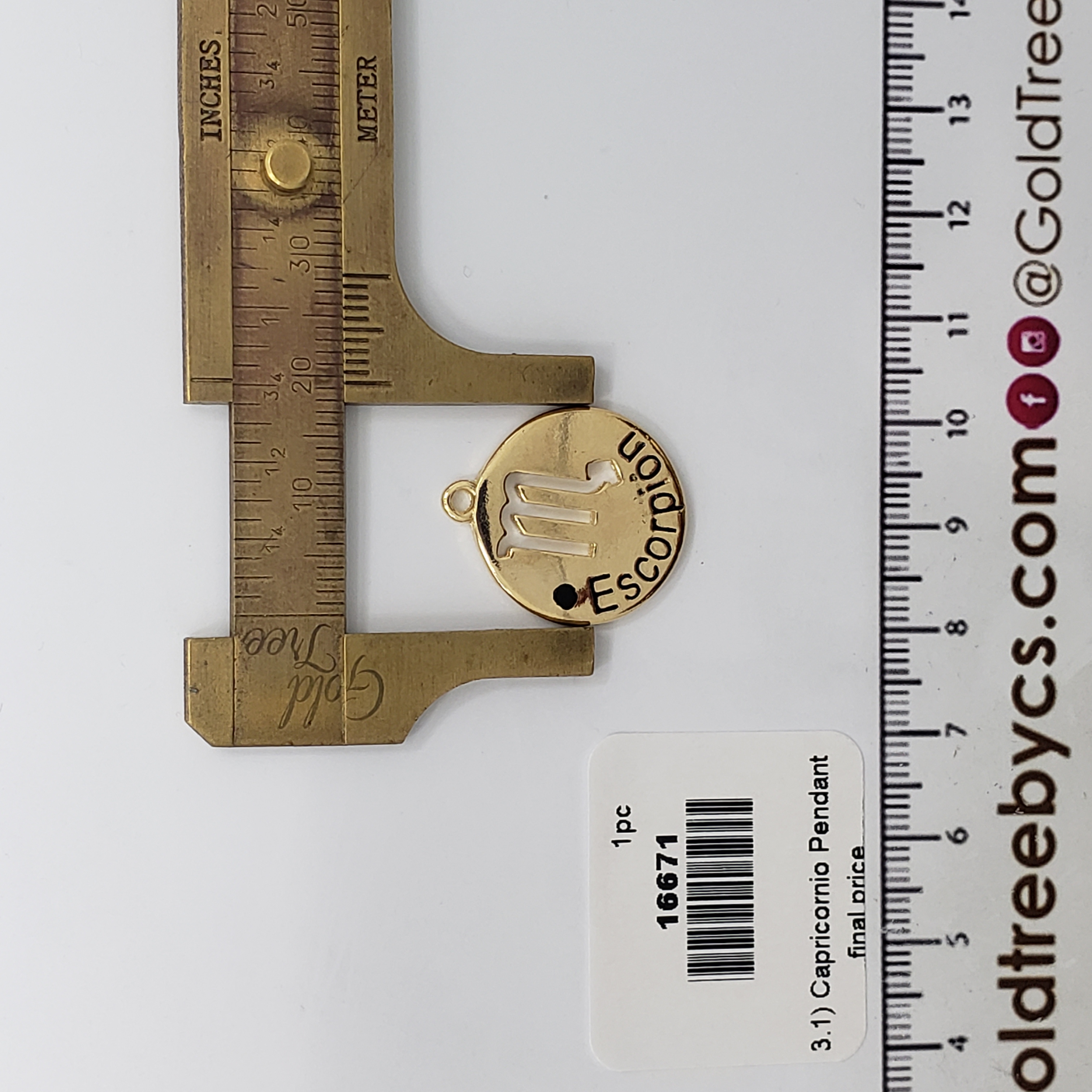 16671 Round Gold Capricornio Pendant