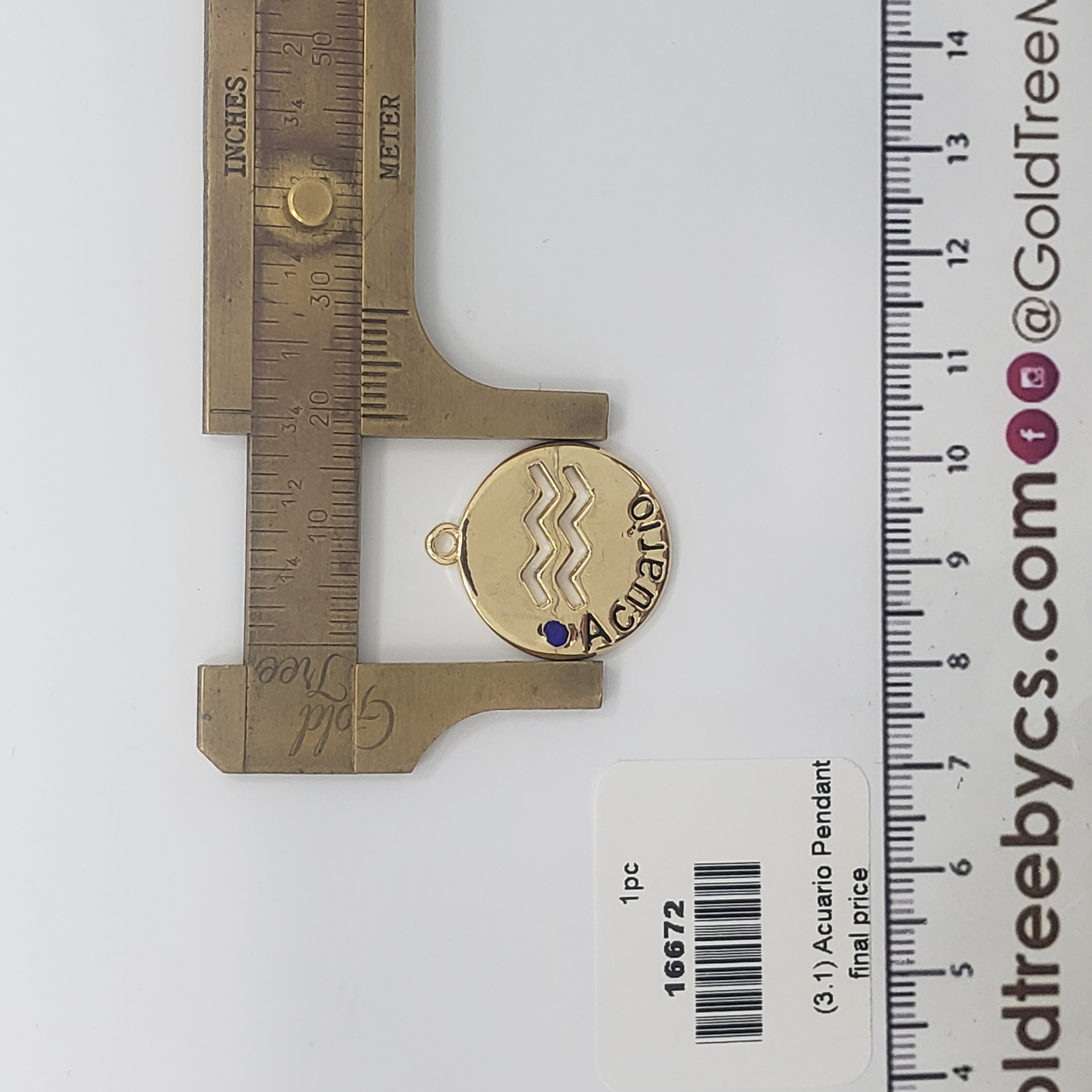 16672 Round Golden Acuario Pendant