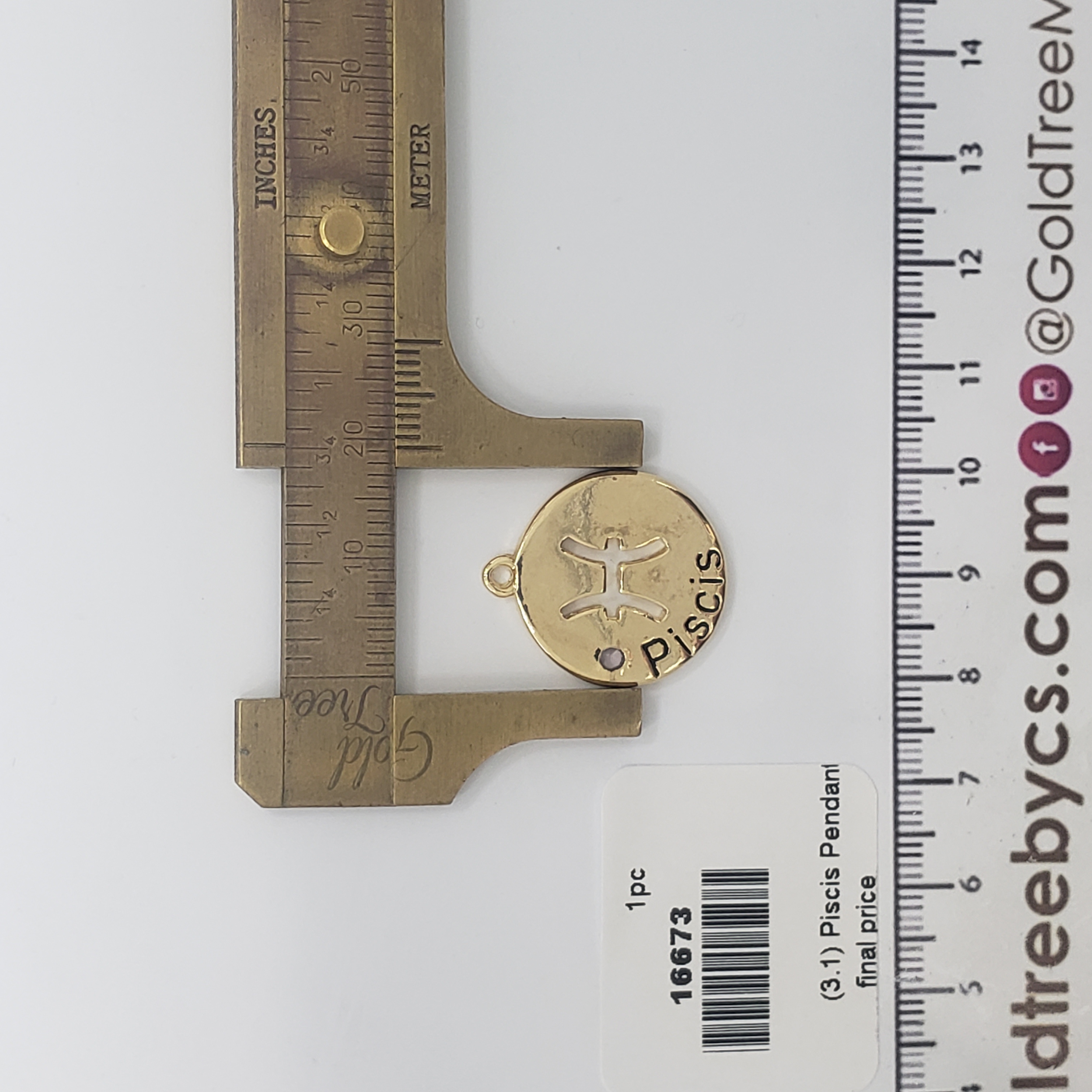 16673 Gold Pisces Pendant