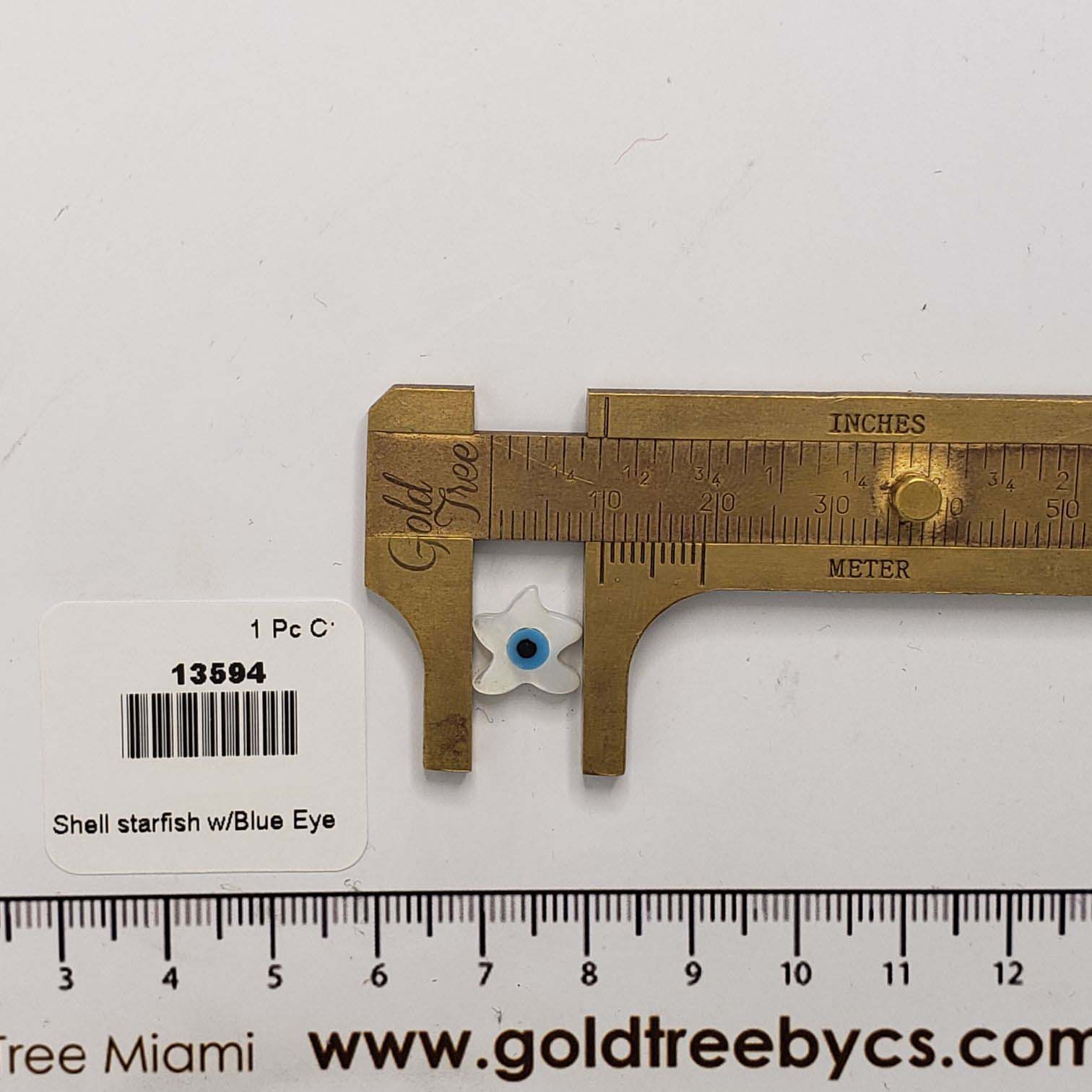 13594 Shell Starfish with Blue Eye 