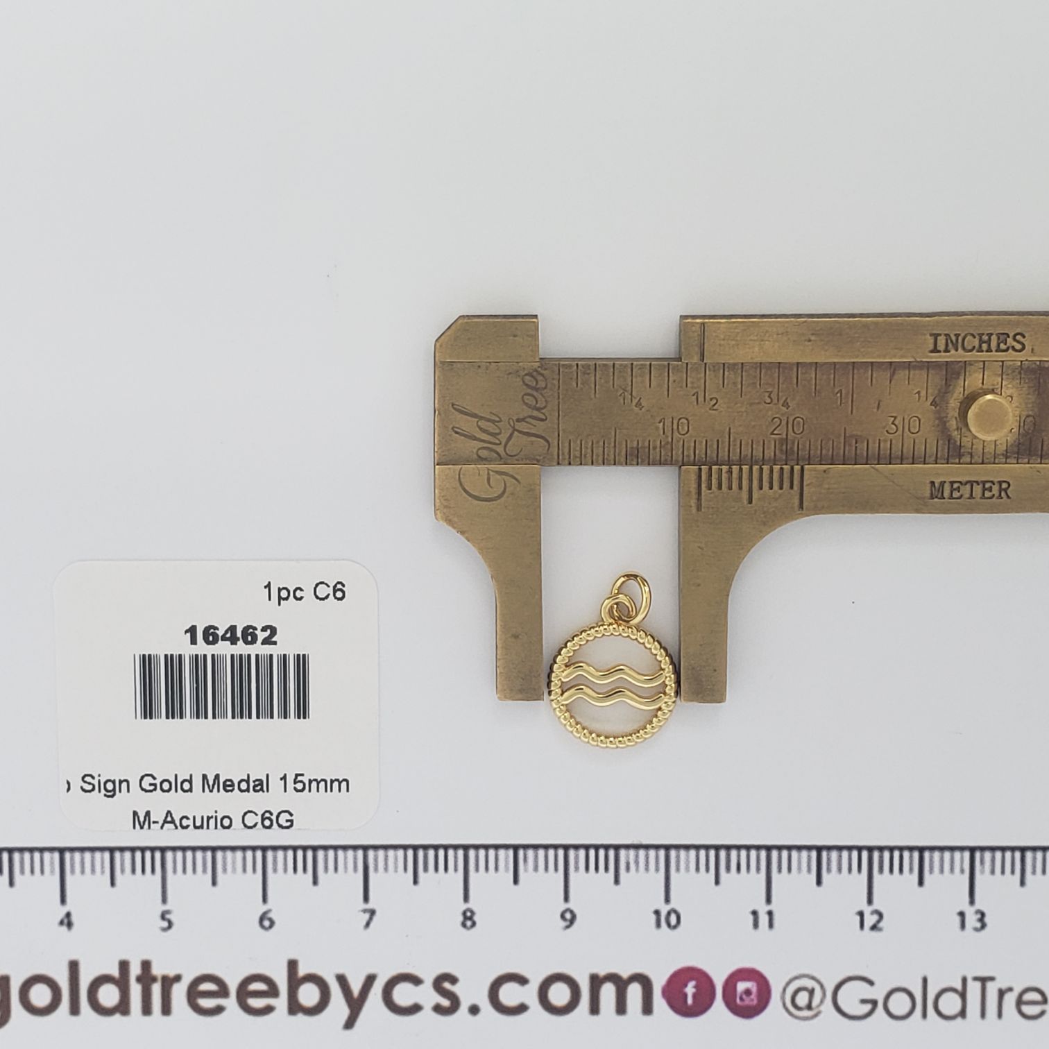 16462  Acuario Sign Gold Medal Charm