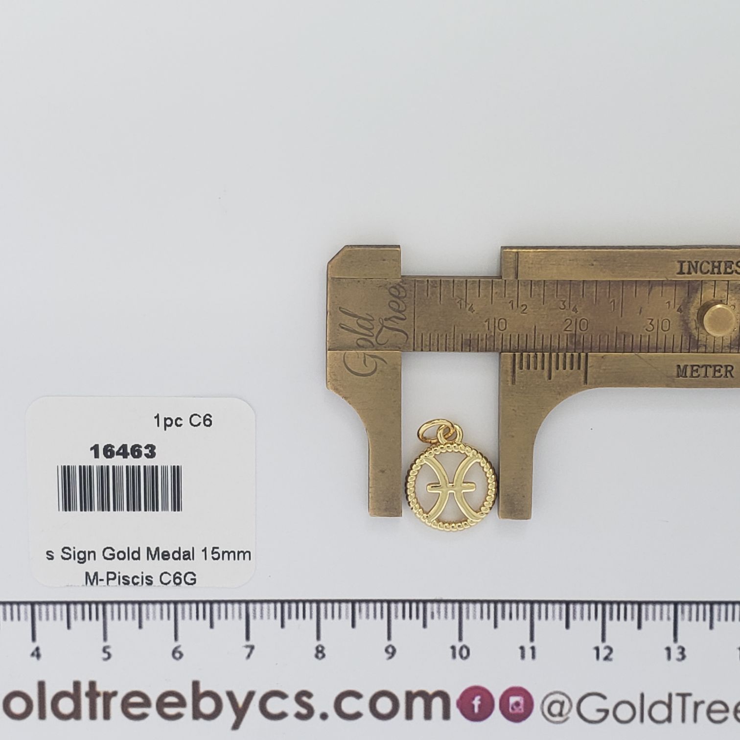 16463 Piscis Sign Gold Medal Charm