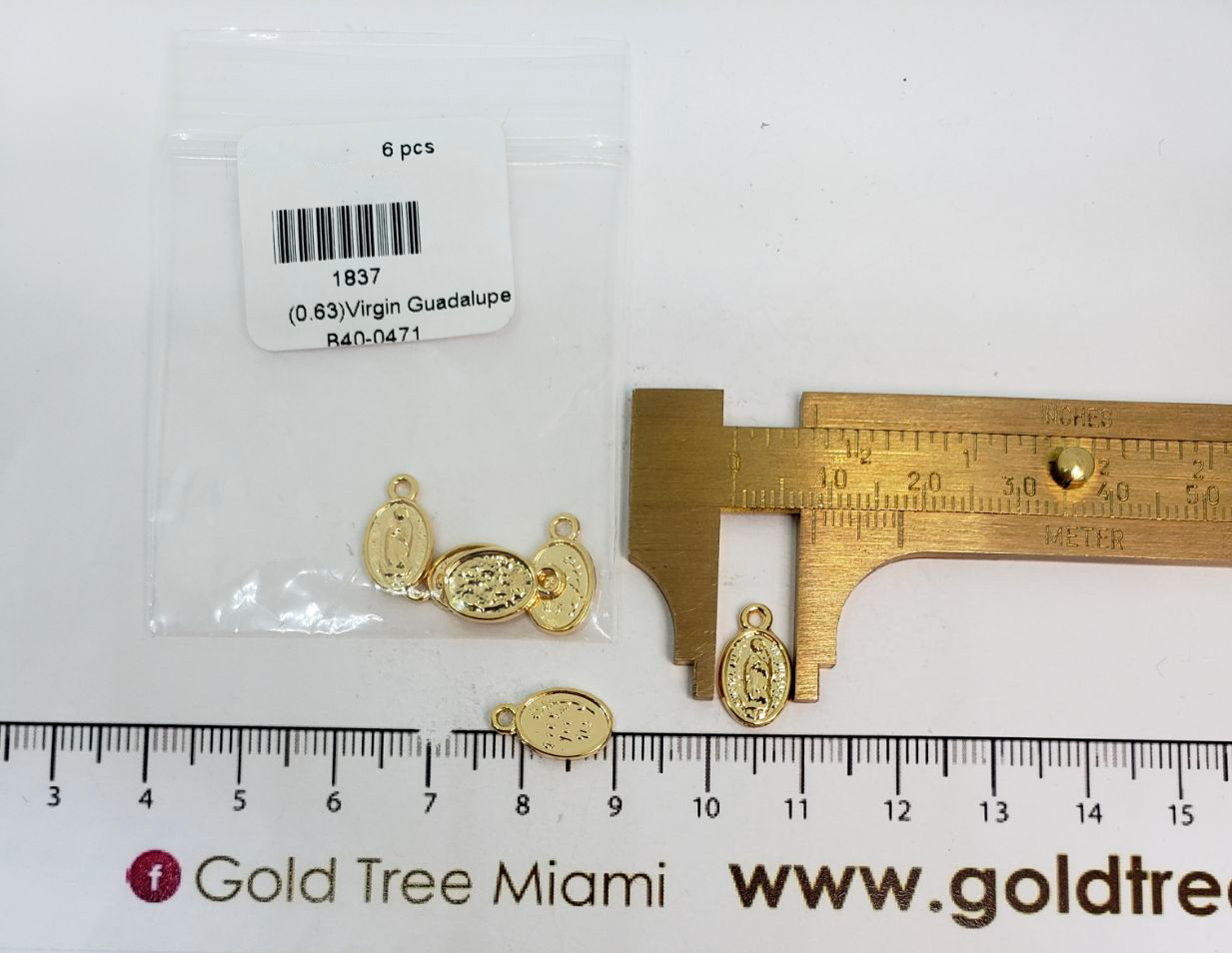 1837 Small Virgin Guadalupe Charm