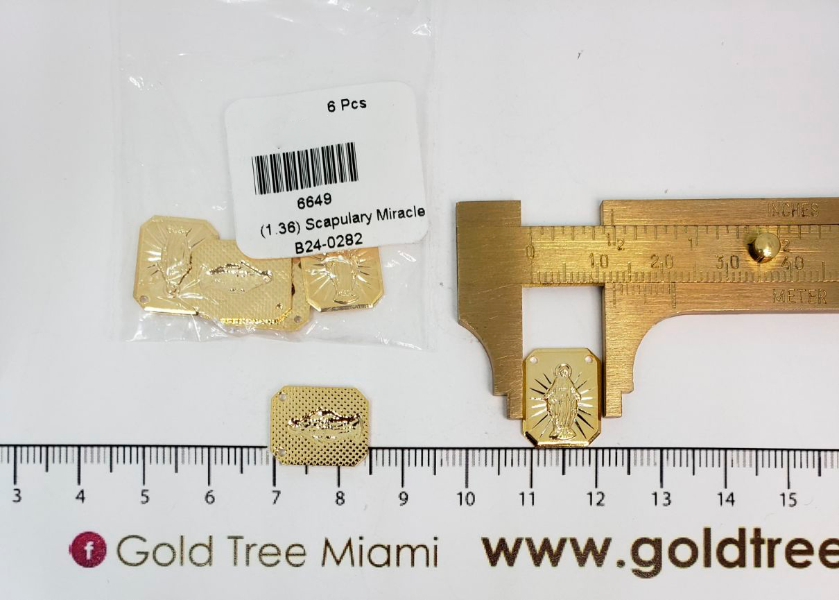 6649 Scapulary Miracle