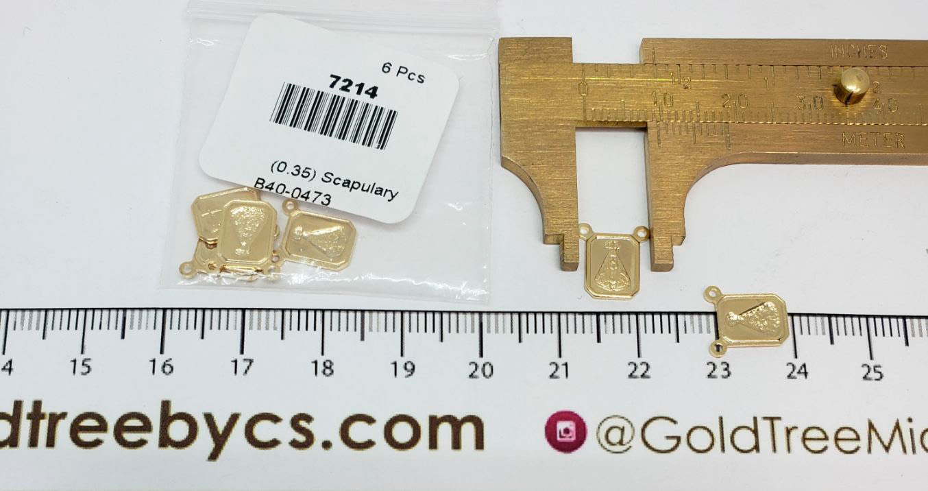 7214 Virgin del Valle Scapulary