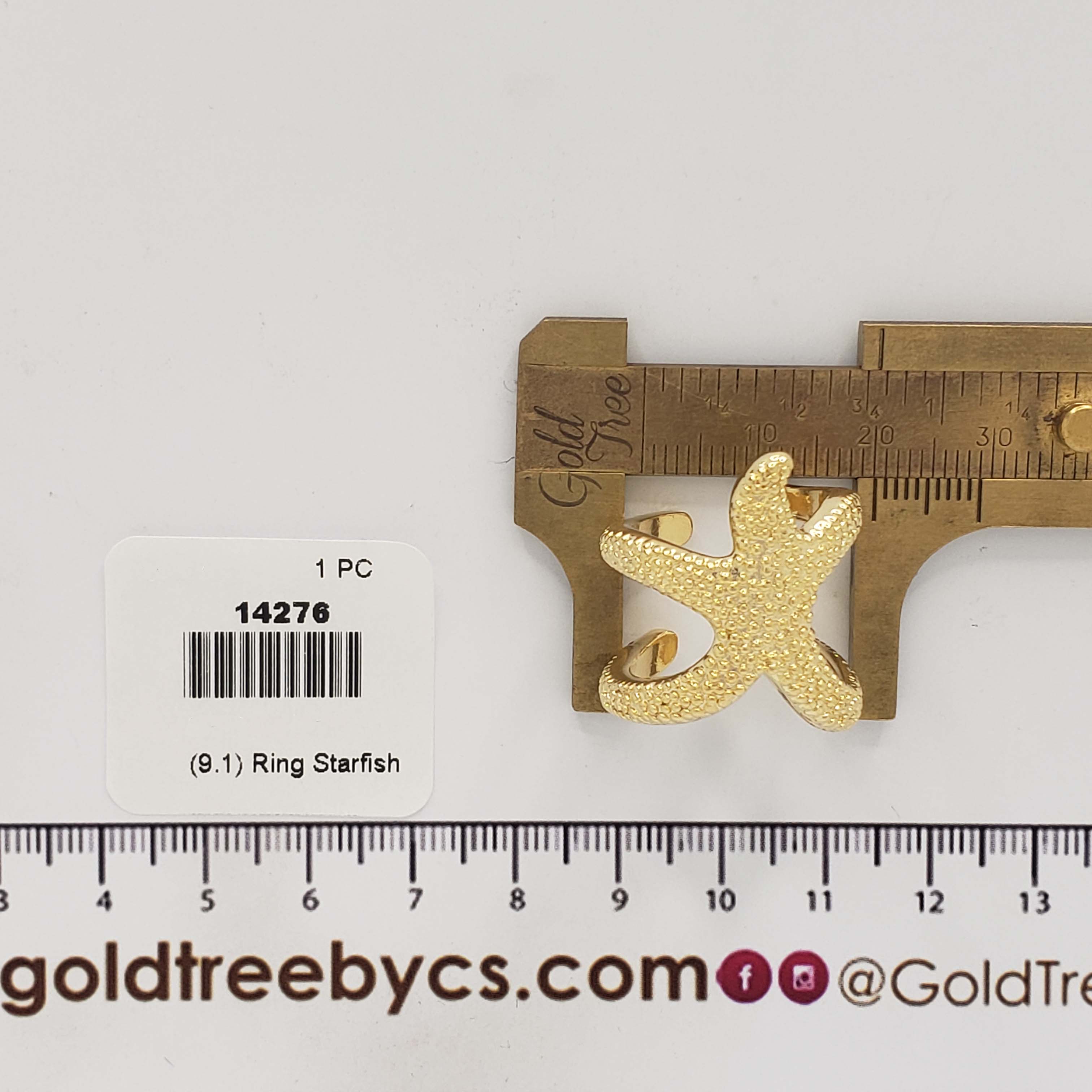 14276 Ring Starfish