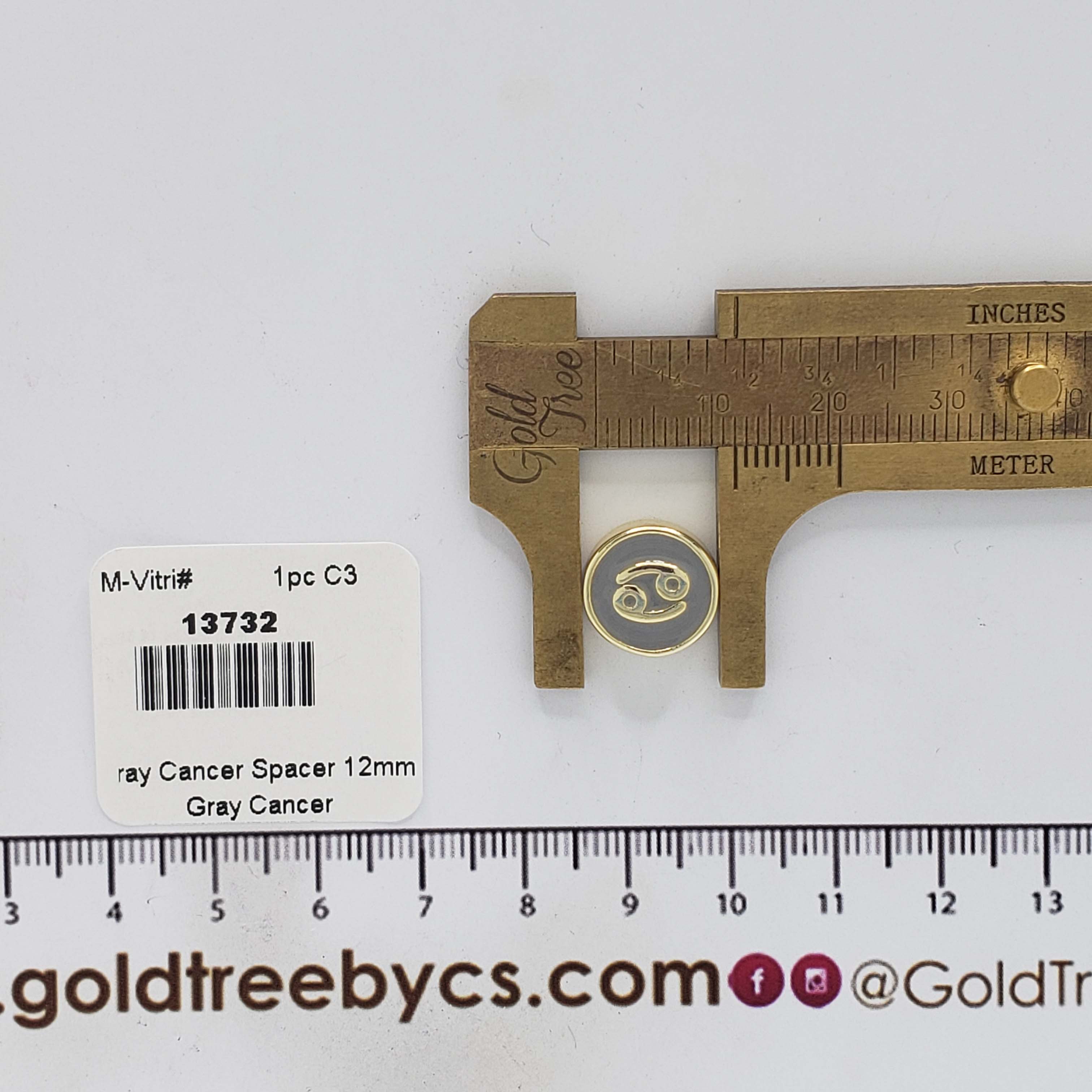 13732 Gray Cancer Spacer