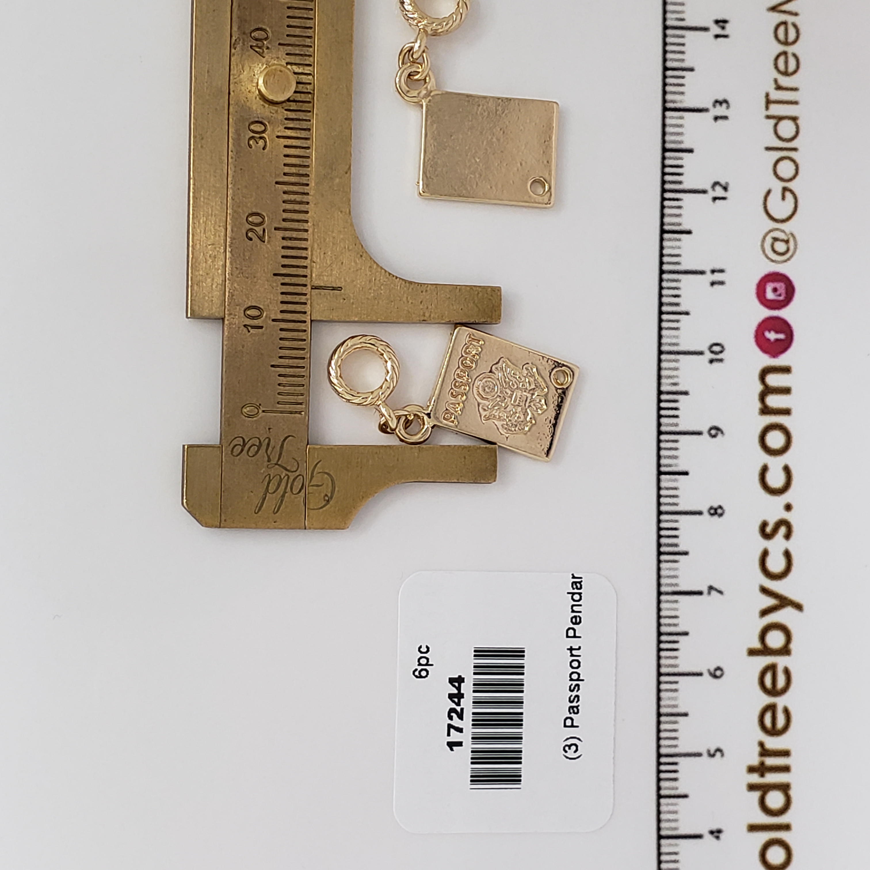 17244 Golden Passport Pendant