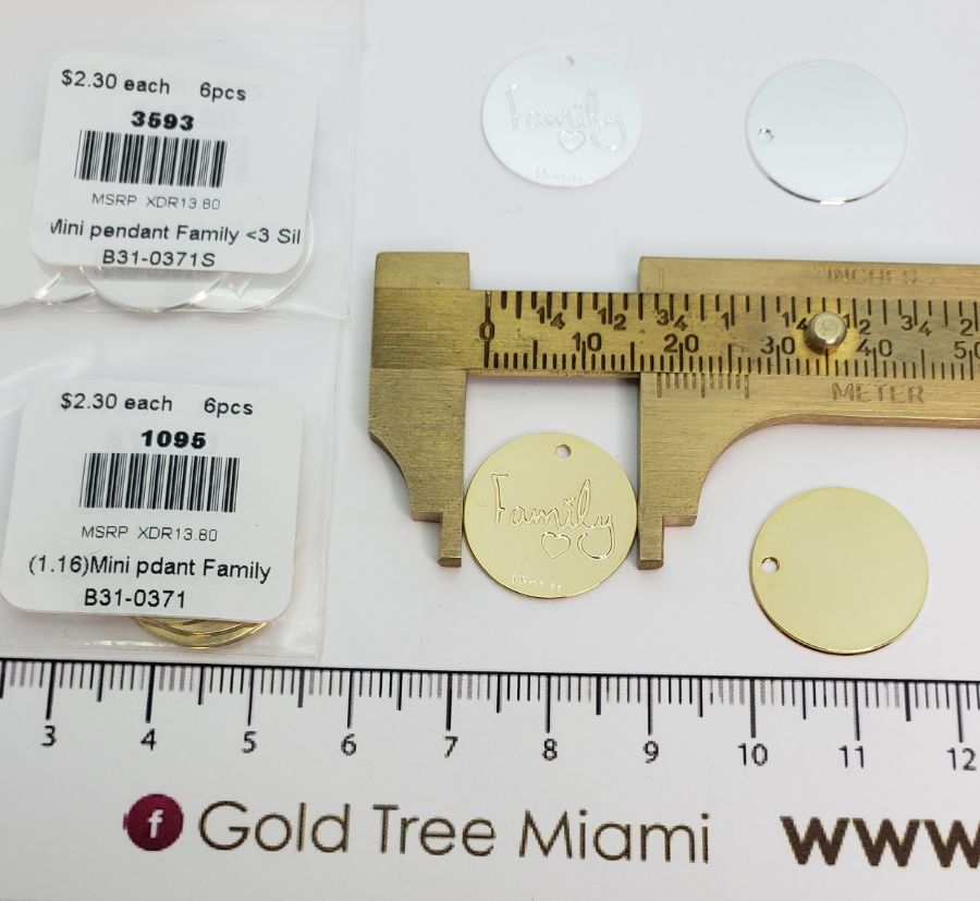 1095 Mini Family Medal Charm