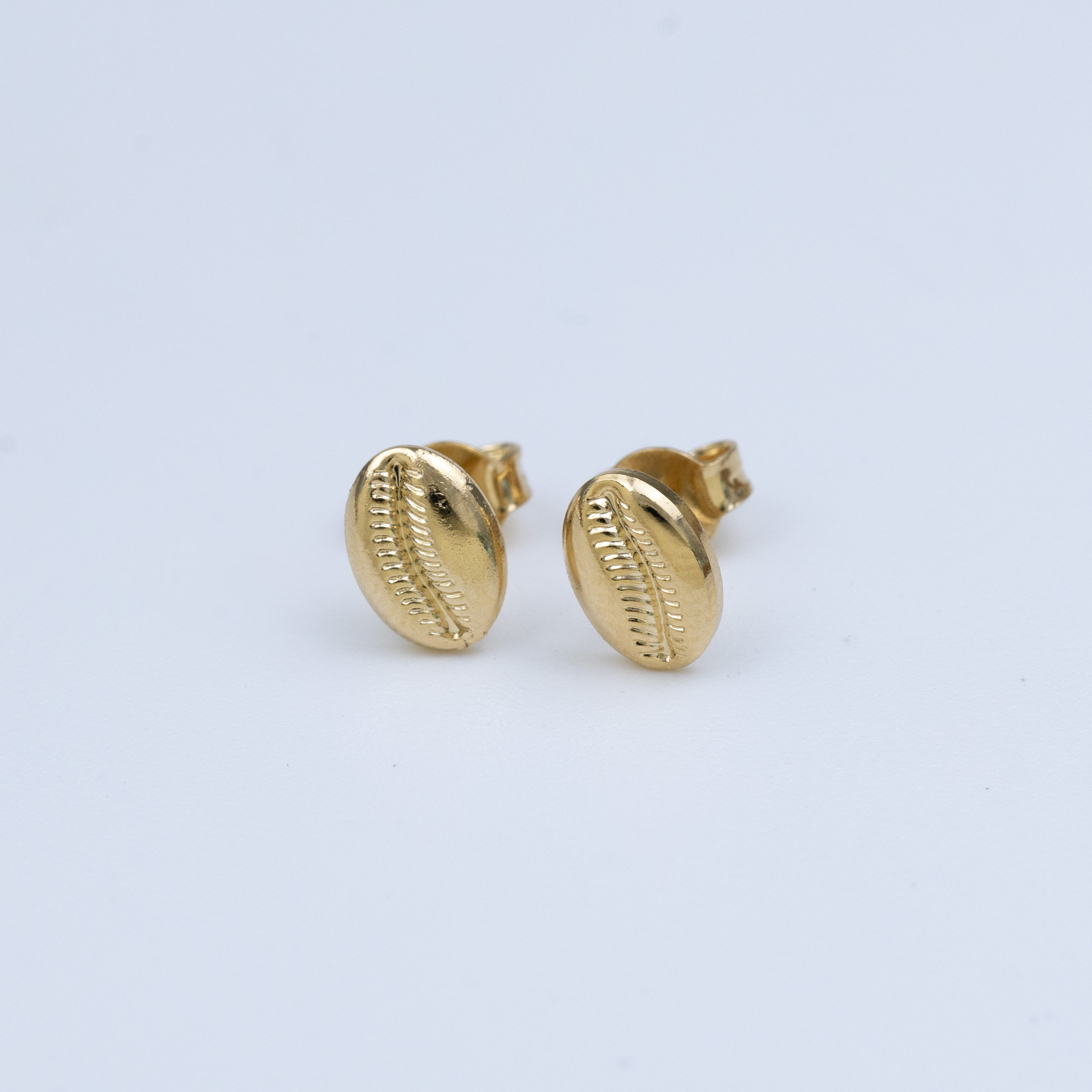 19654 Cowrie Shell Stud Earring