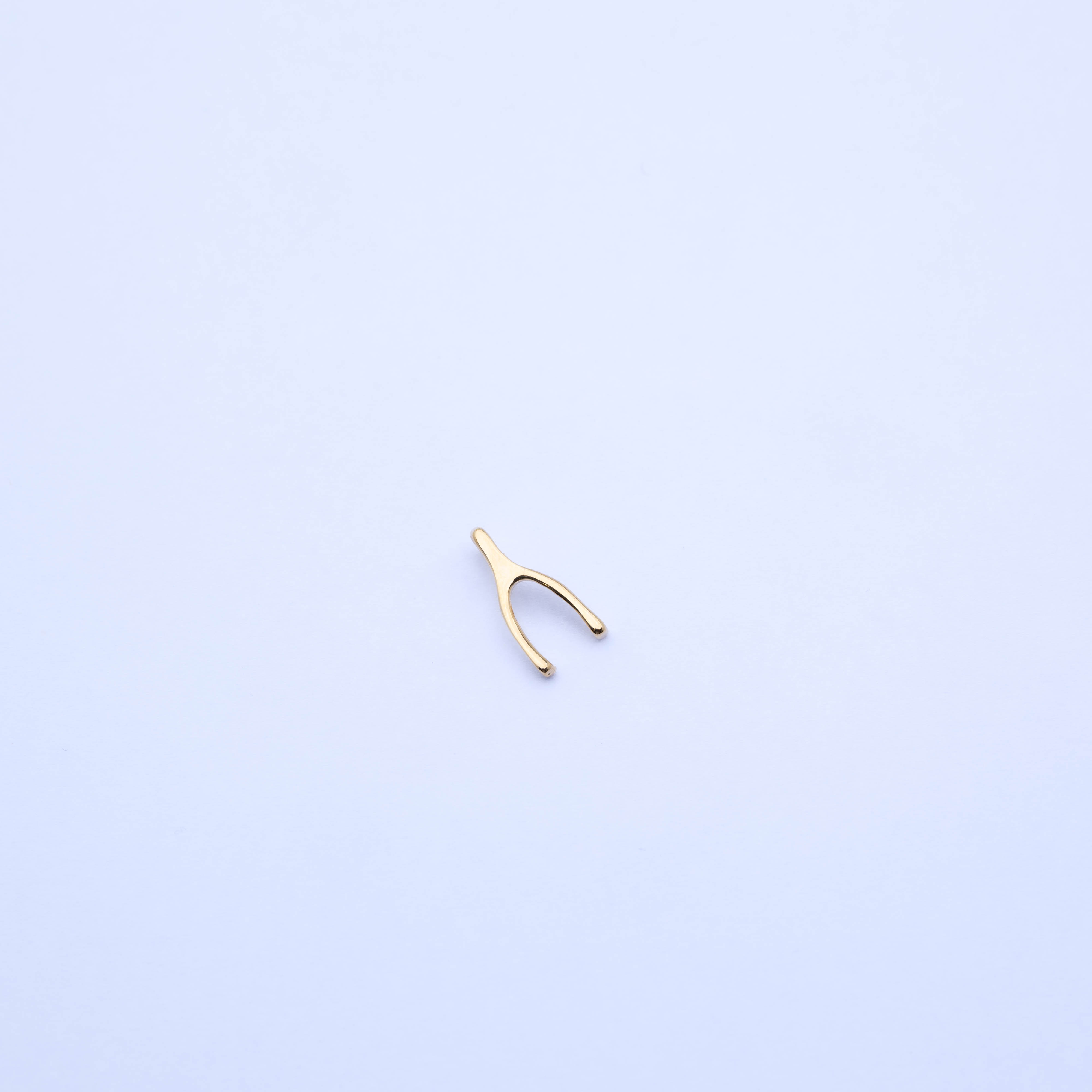 13089 Small Wish Bone Pendant