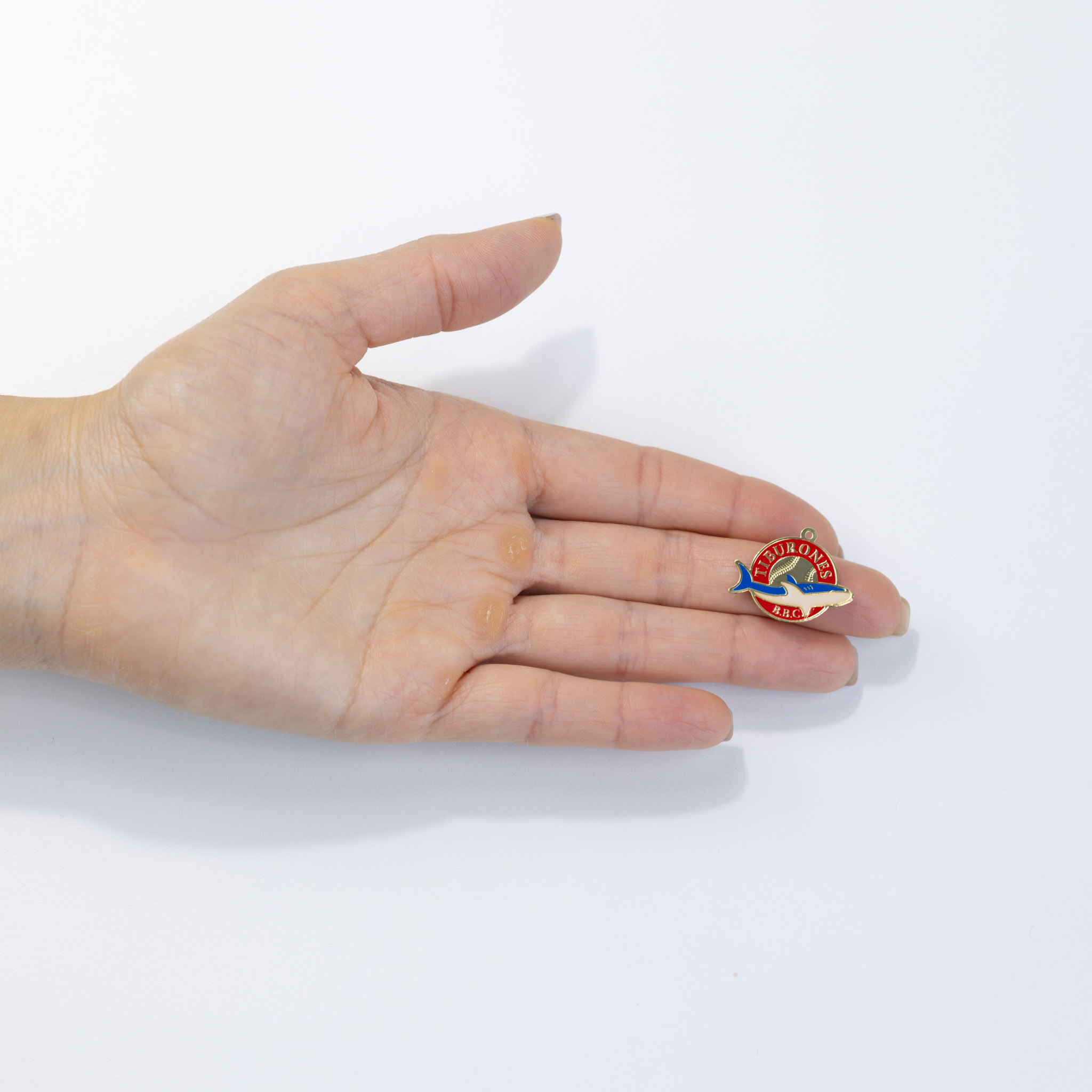 19941 Tiburones Teams Charms