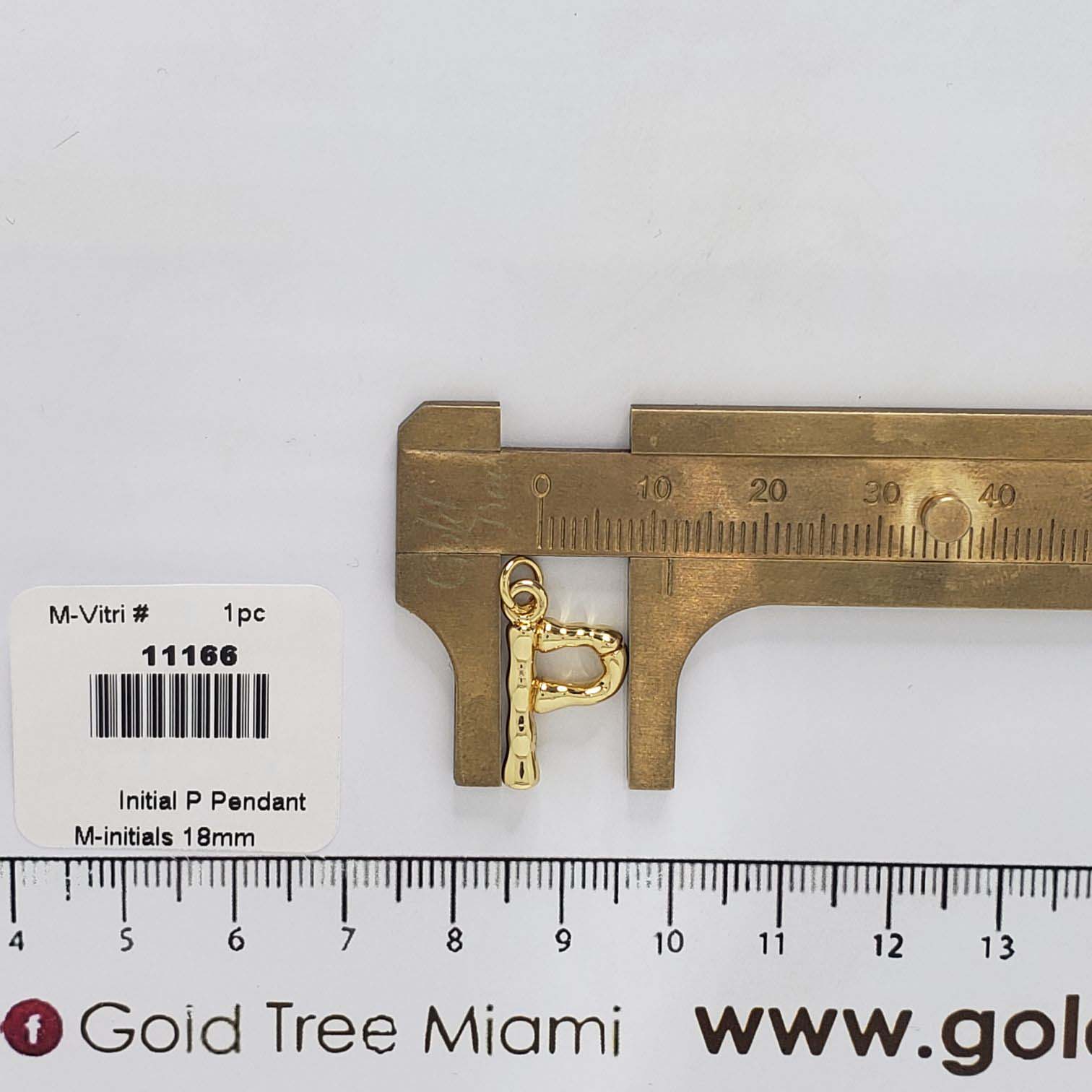 11166 Initial P Pendant