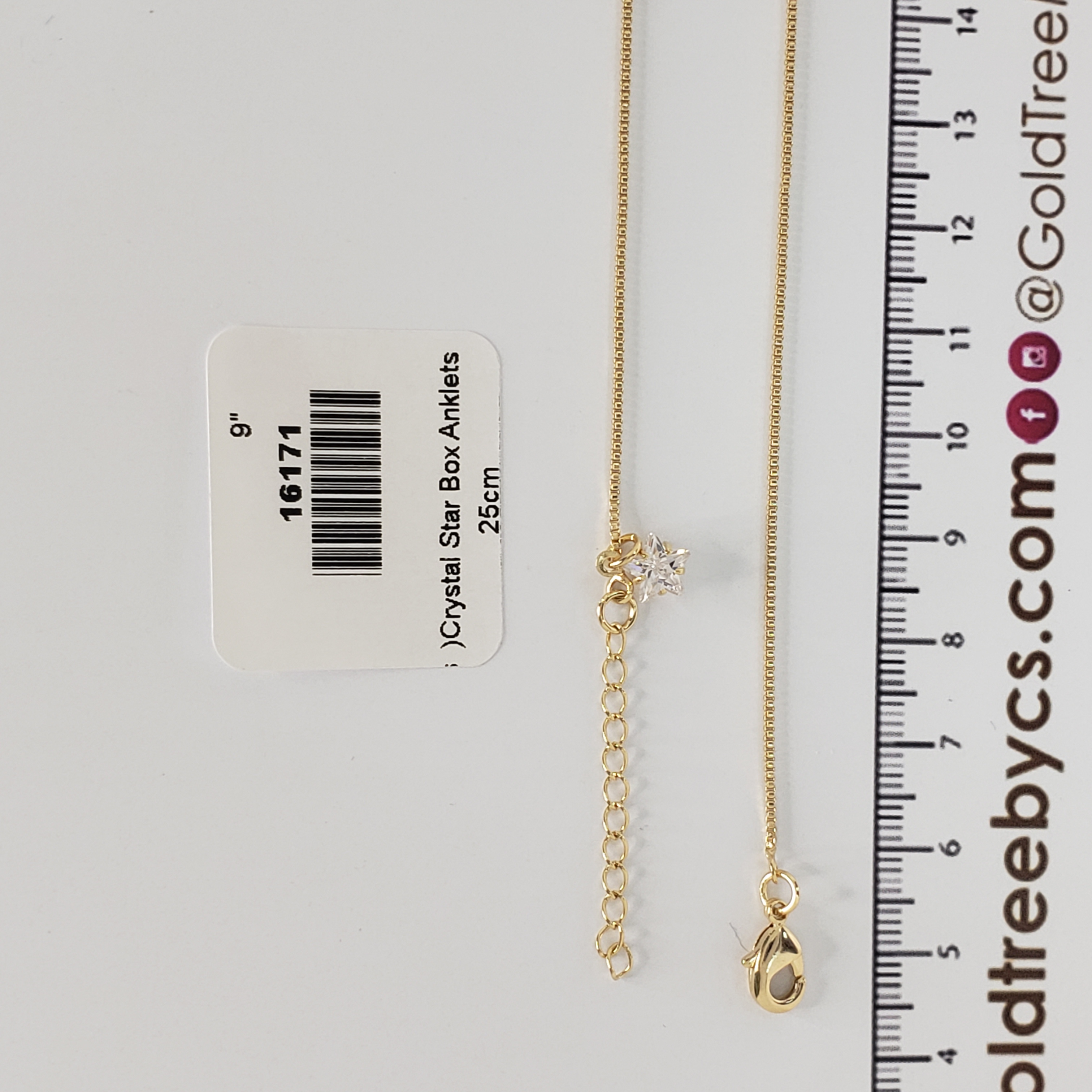 16171 25cm Crystal Star Box Anklets