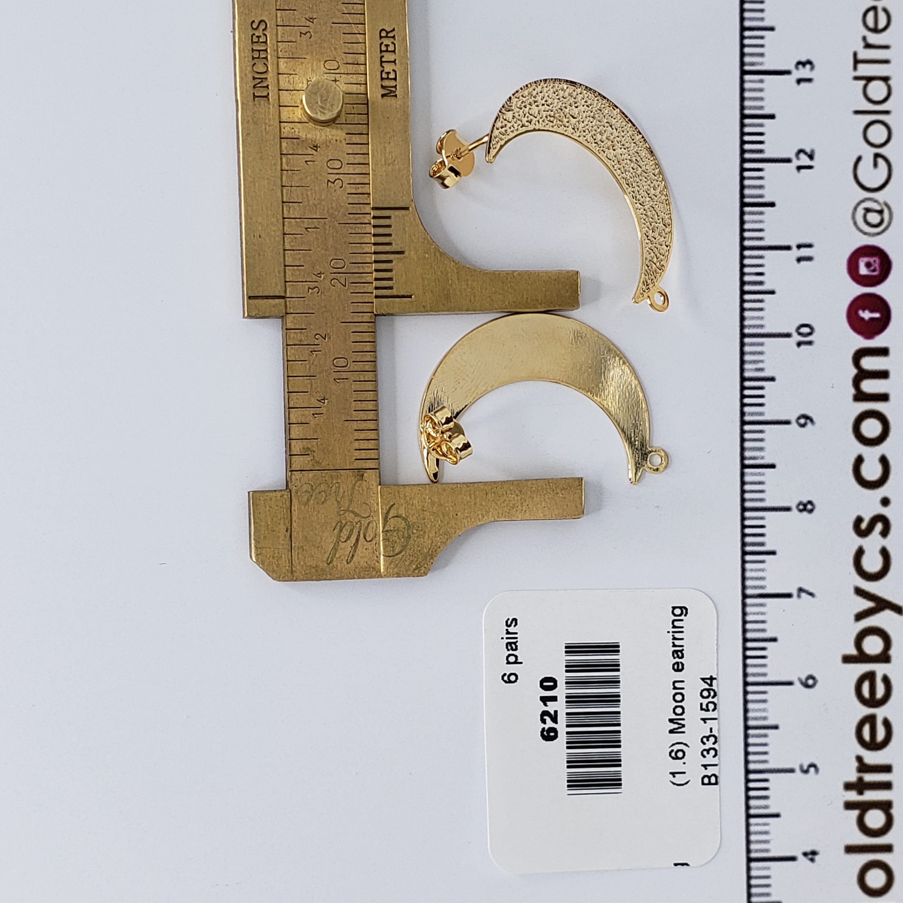 6210 Pendientes Luna Texturizada con Anillo