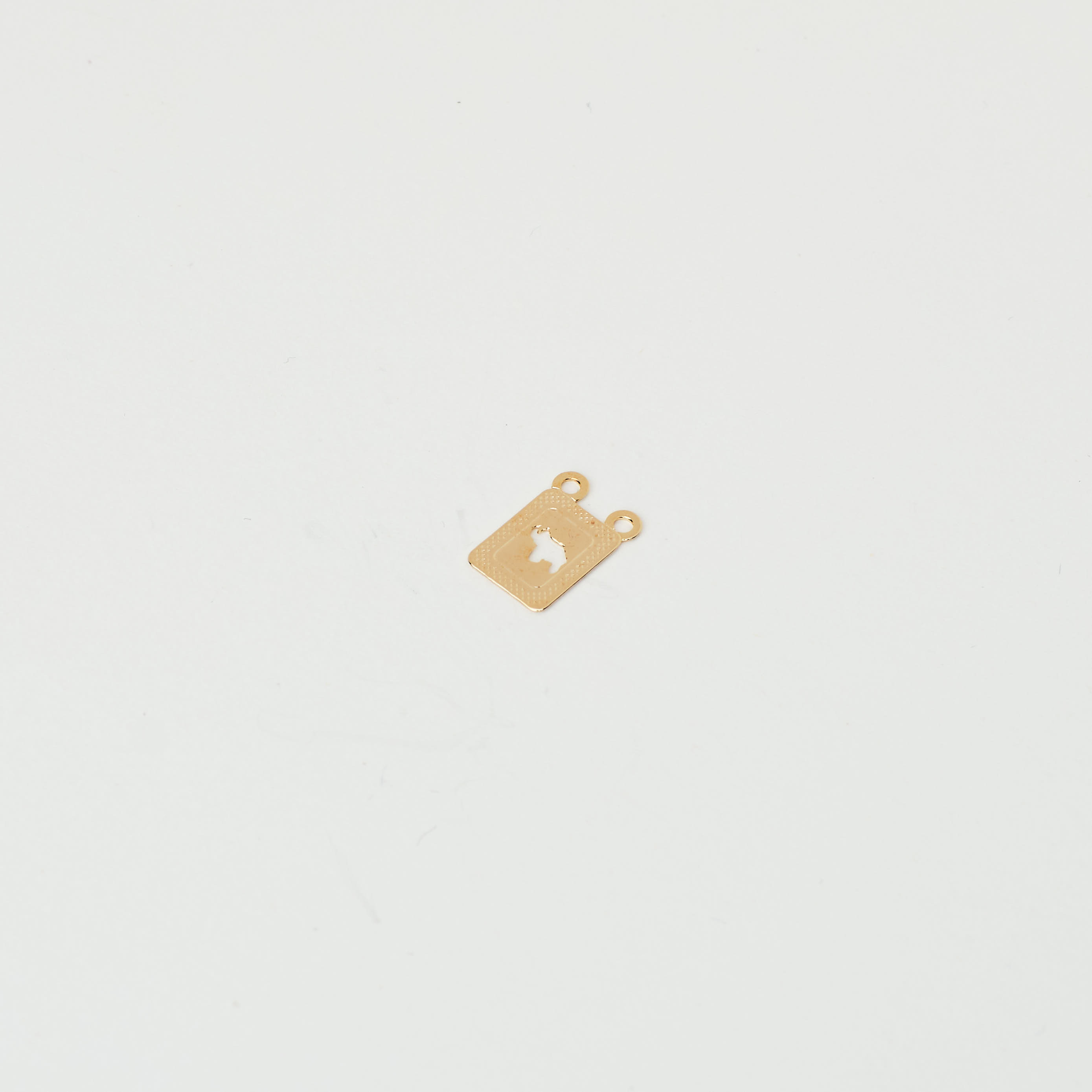 4861 Scapular Venezuela Charm